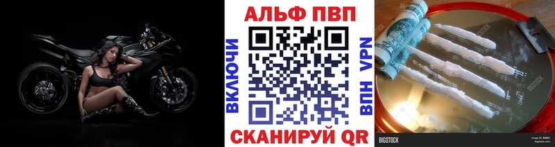 A-PVP СК  Щёлково 