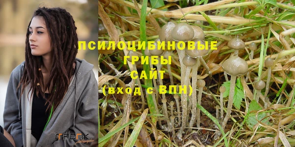 мет Тайга